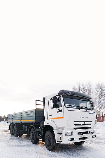 Бортовой автомобиль КАМАЗ 65201